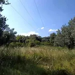 Medina Сараево