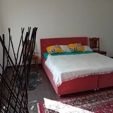 Medina * Sarajevo